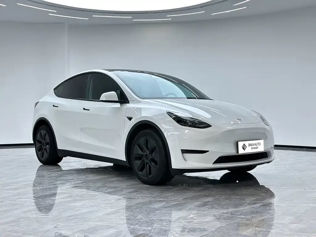Tesla Model Y — фото 8