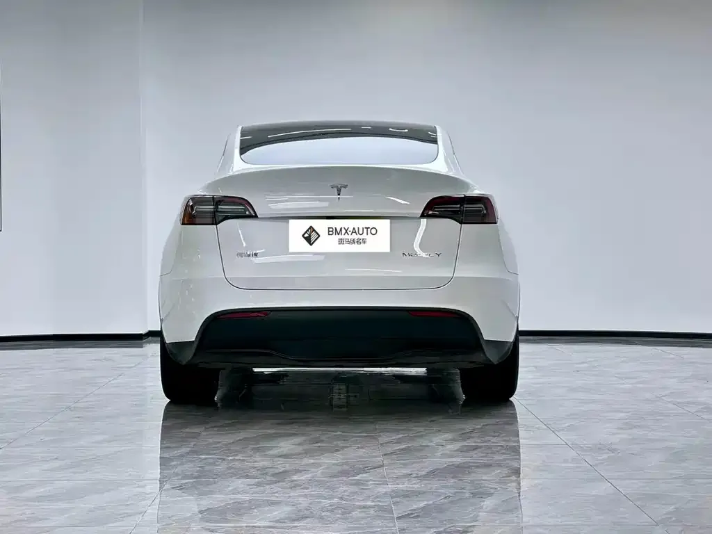 Tesla Model Y — фото 10