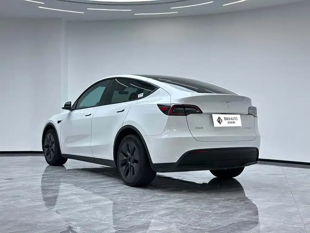 Tesla Model Y — фото 9