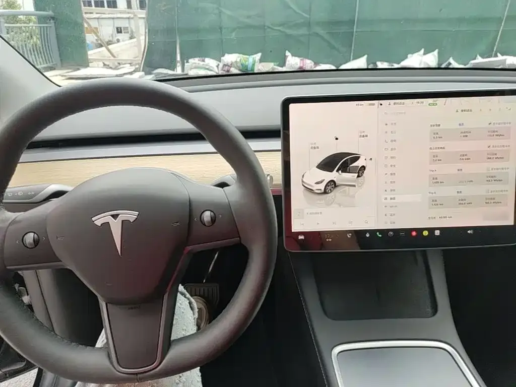 Tesla Model Y — фото 4