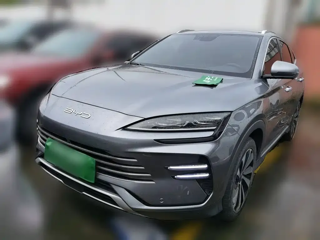 BYD PLUS New Energy — фото 8