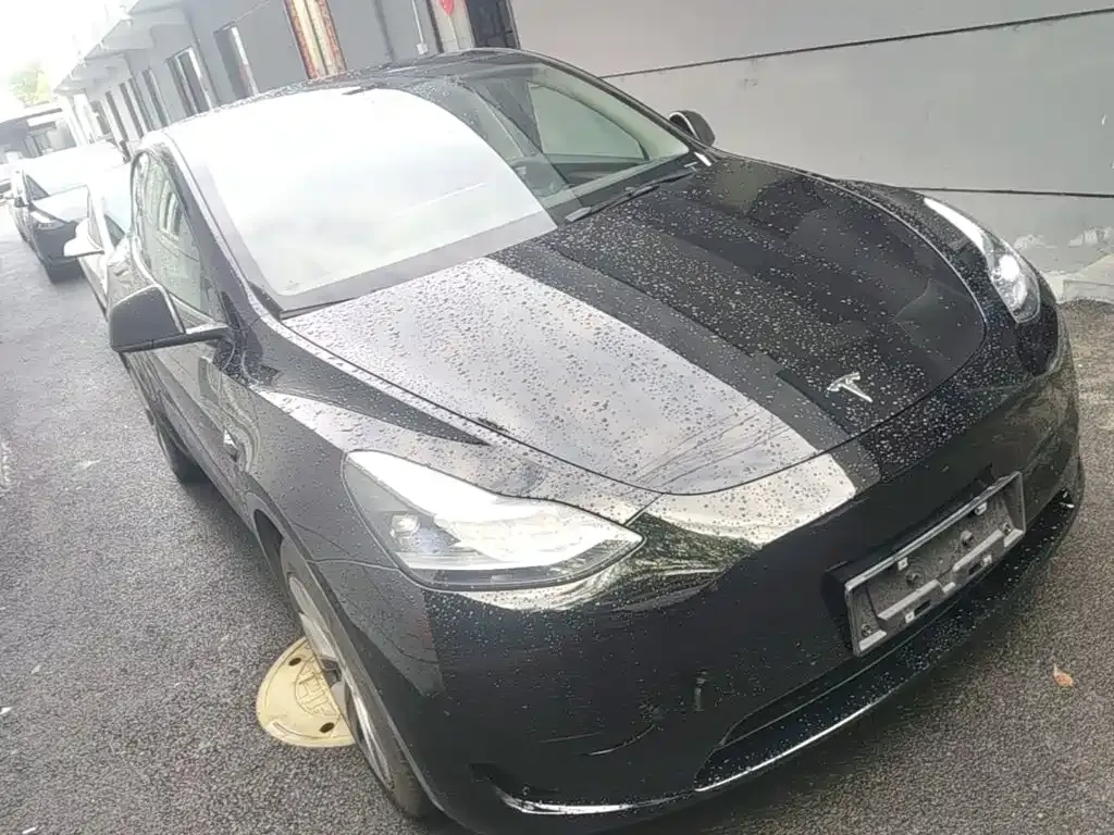 Tesla Model Y — фото 10