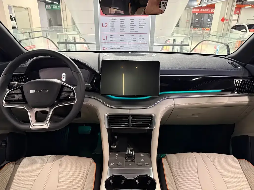 BYD PLUS New Energy — фото 4