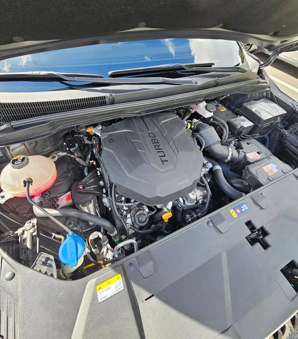 Kia Carnival — фото 10