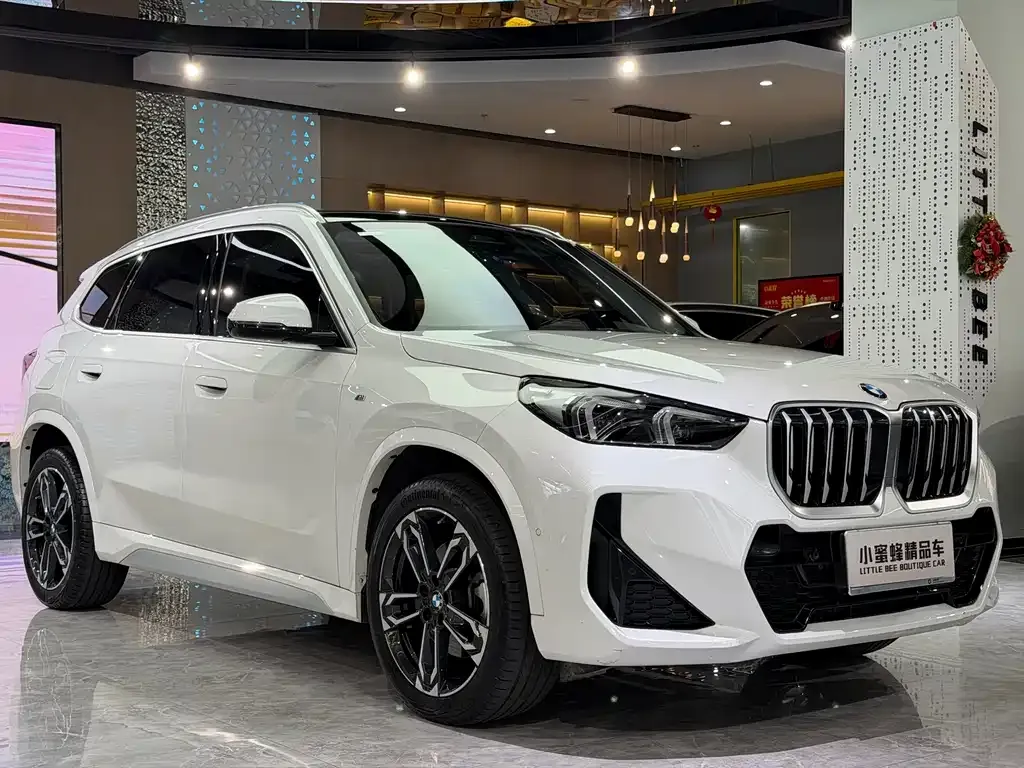 BMW X1 — фото 5