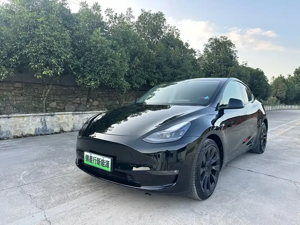 Tesla Model Y — фото 1