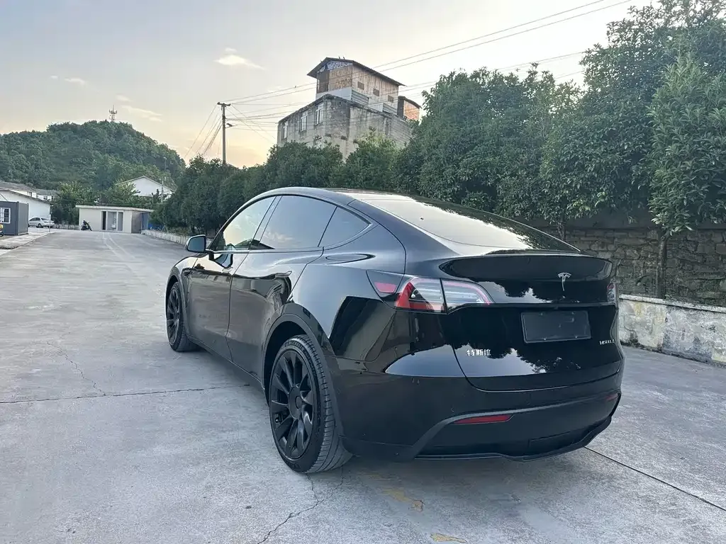 Tesla Model Y — фото 9