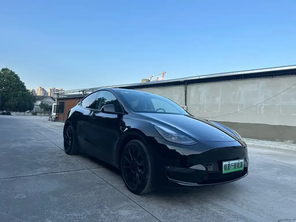 Tesla Model Y — фото 2
