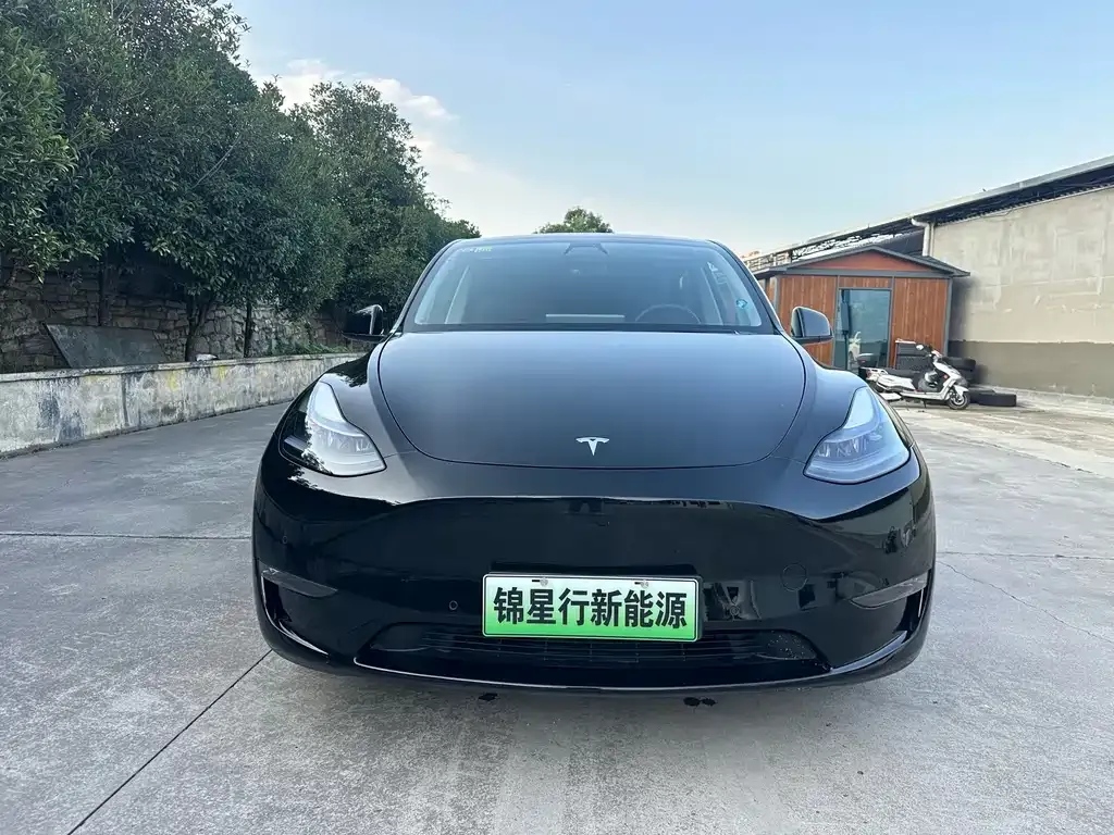 Tesla Model Y — фото 8