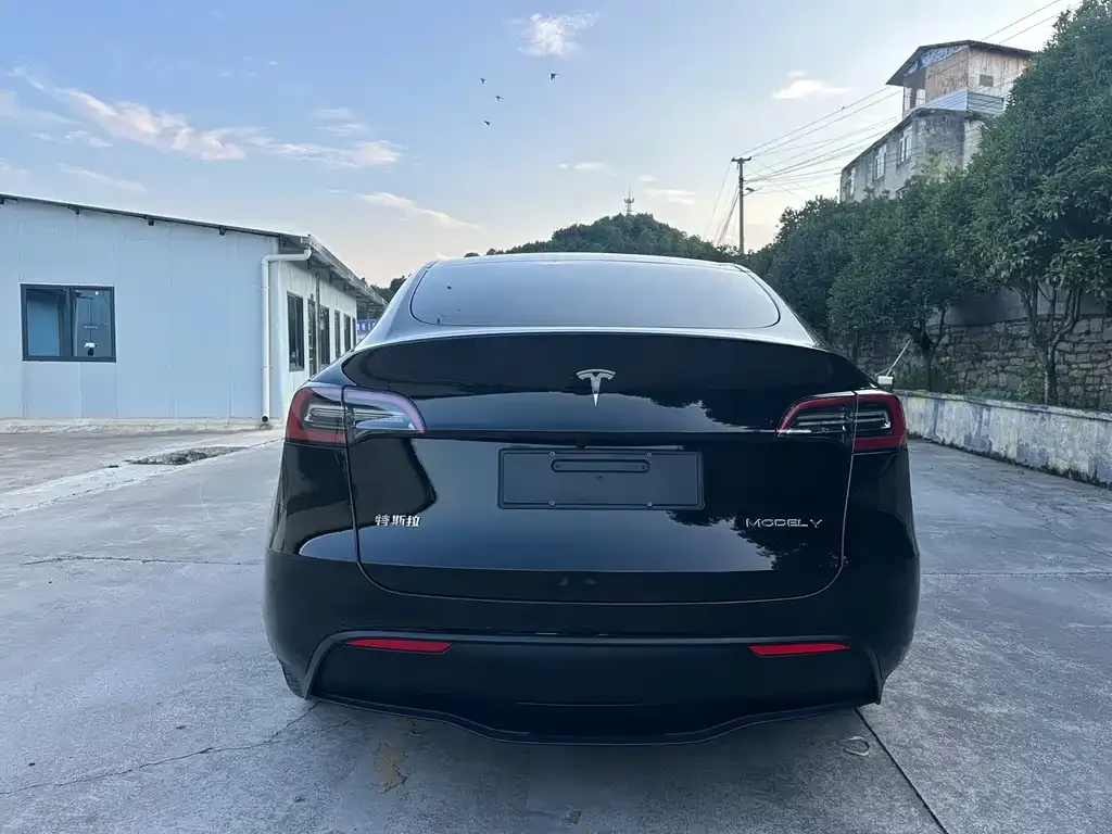 Tesla Model Y — фото 3