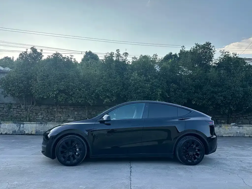 Tesla Model Y — фото 5