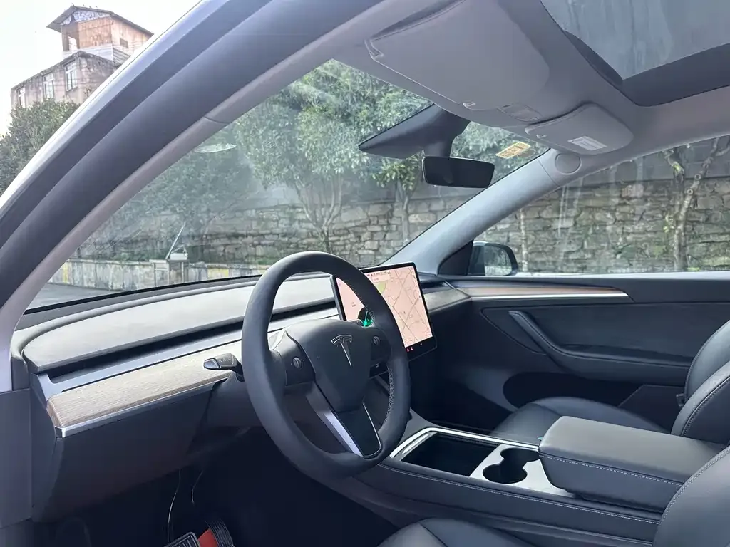 Tesla Model Y — фото 10