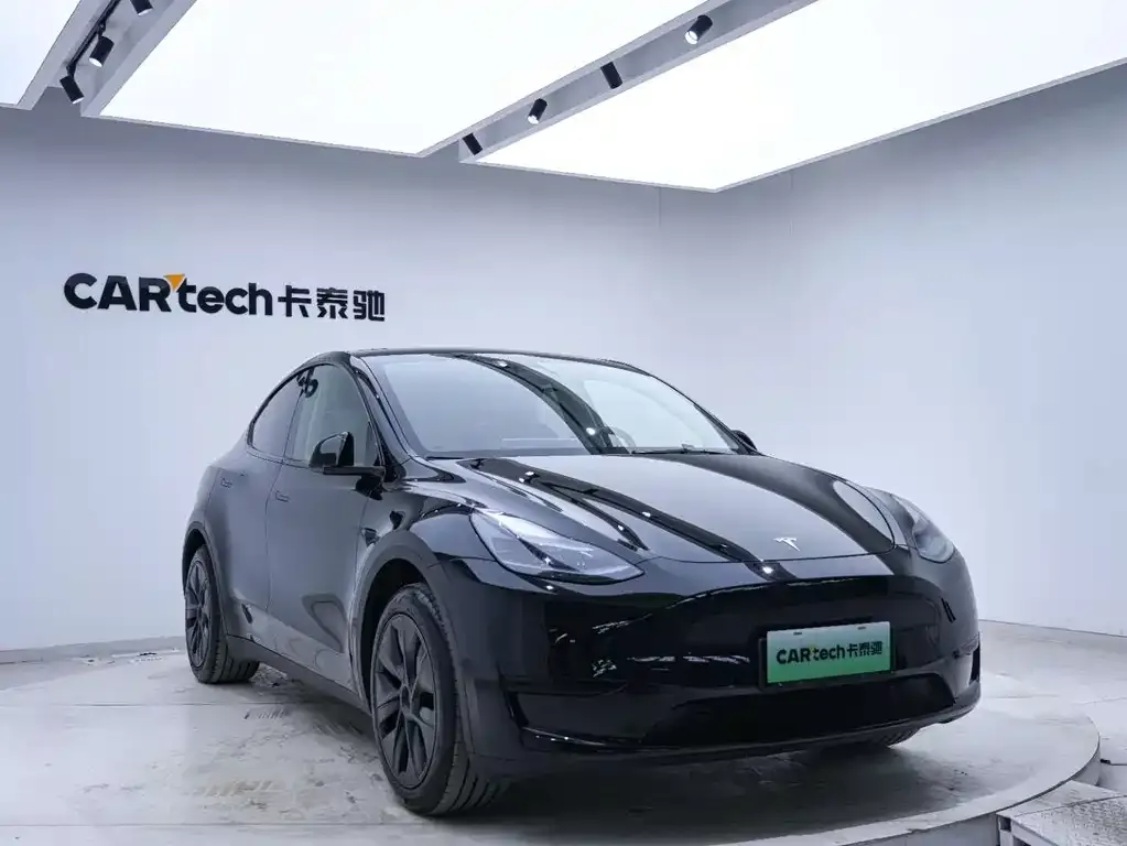 Tesla Model Y — фото 10