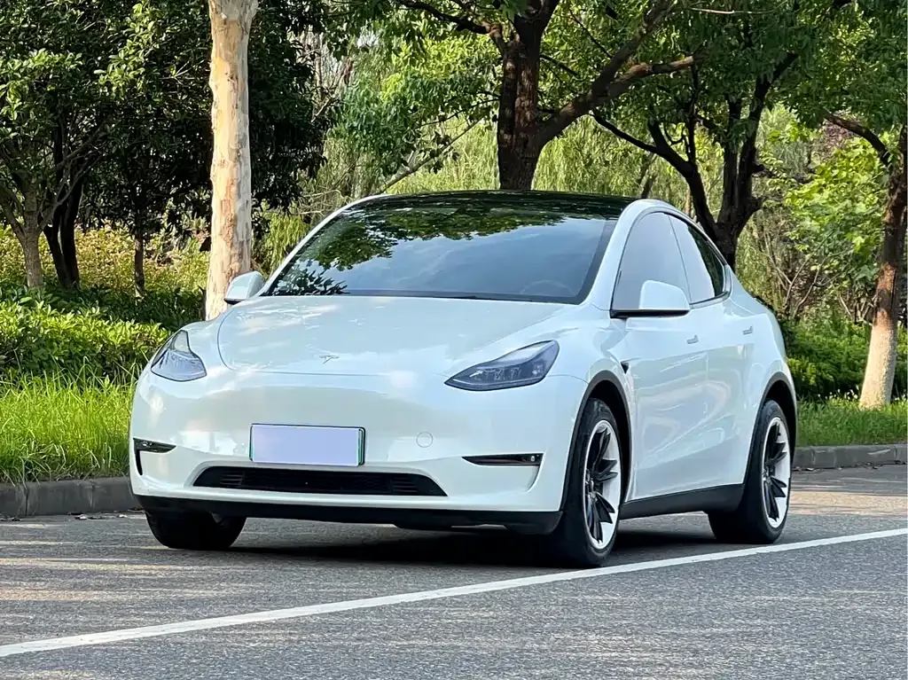 Tesla Model Y — фото 1