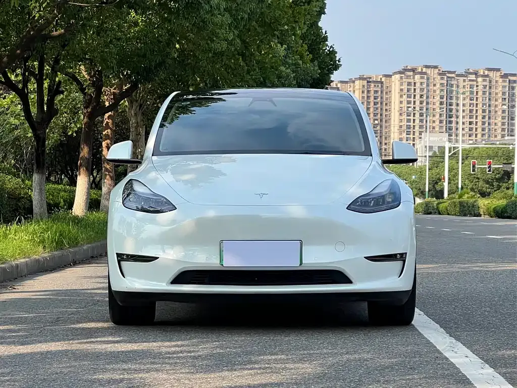 Tesla Model Y — фото 7
