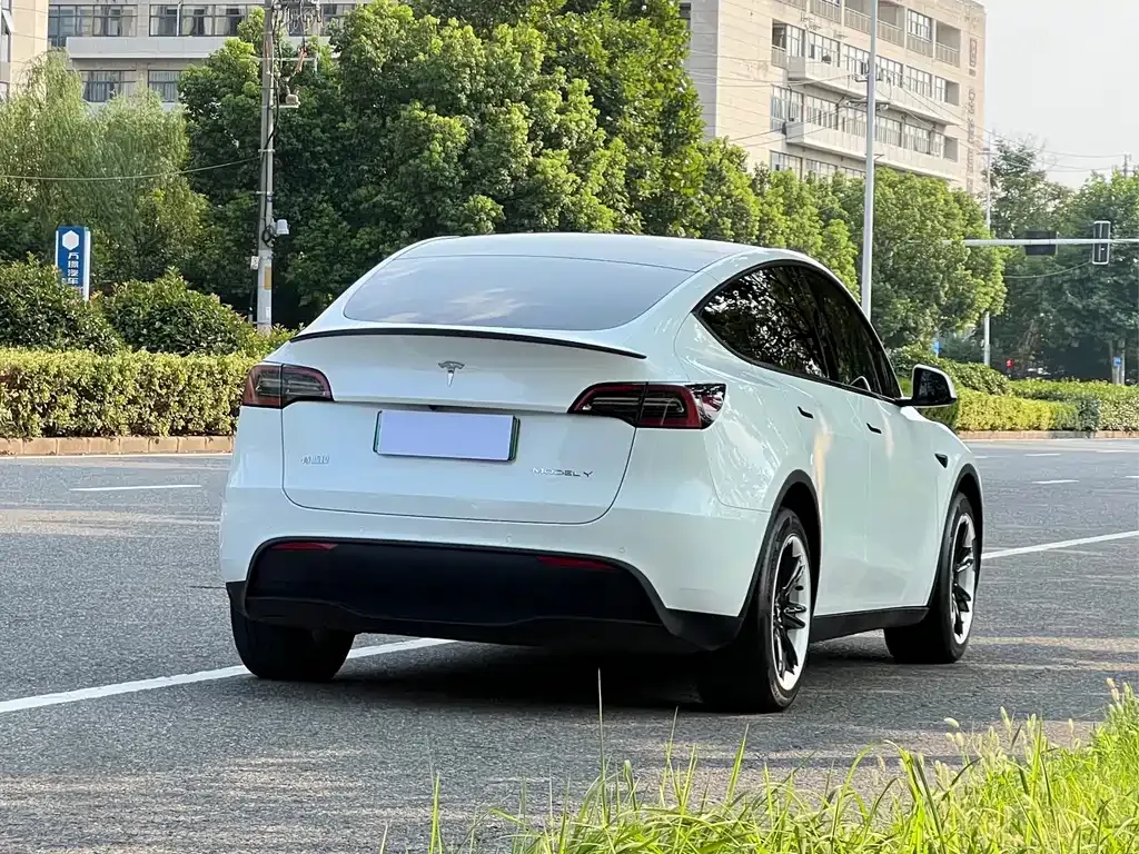 Tesla Model Y — фото 10