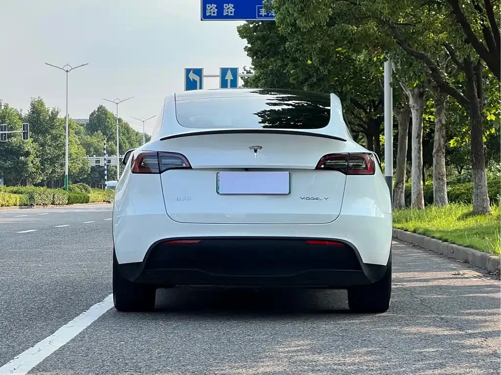 Tesla Model Y — фото 6