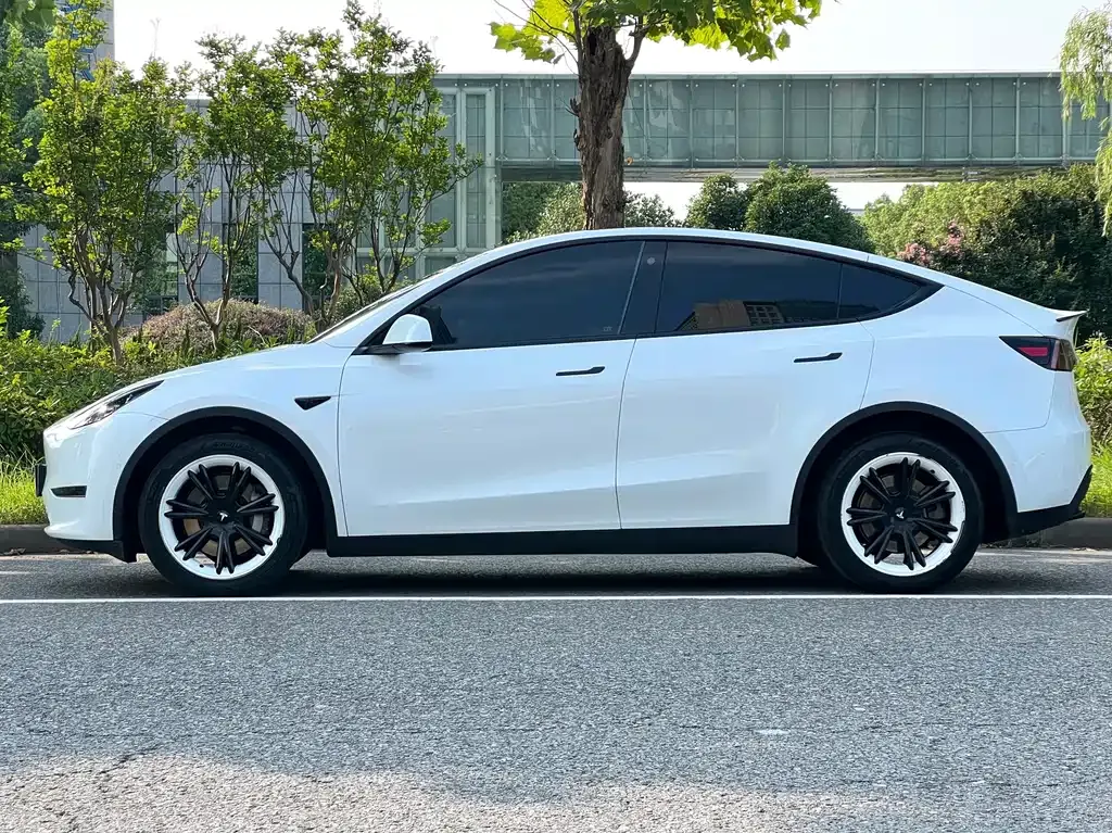 Tesla Model Y — фото 8