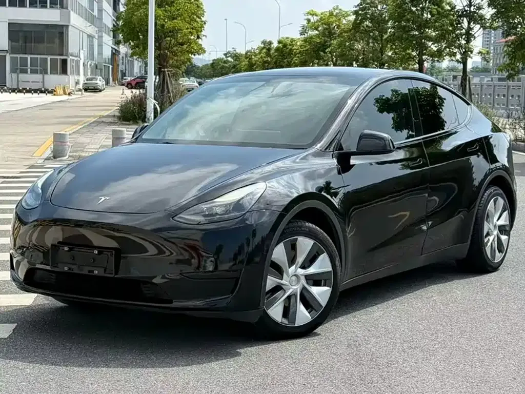 Tesla Model Y — фото 10