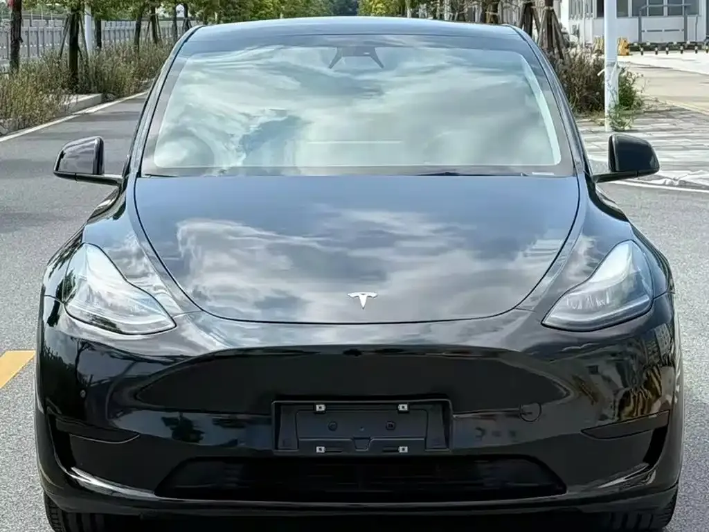 Tesla Model Y — фото 5
