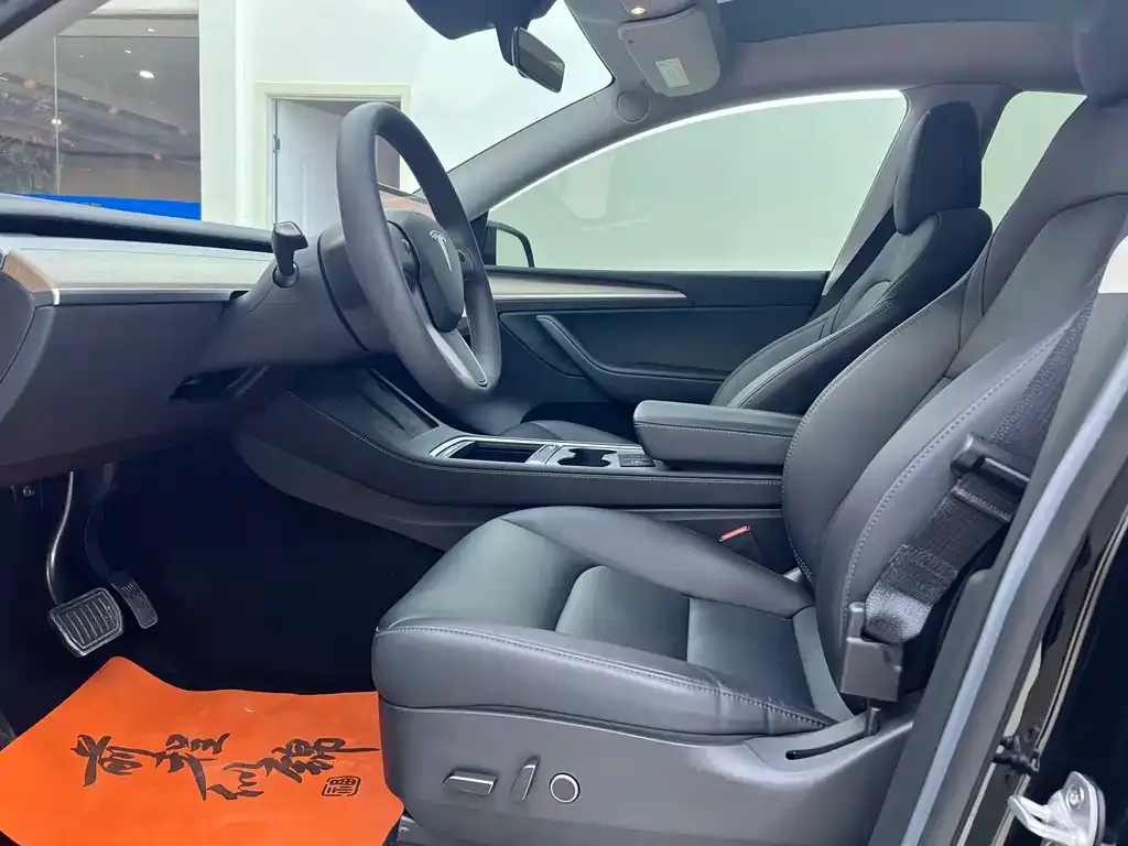 Tesla Model Y — фото 10
