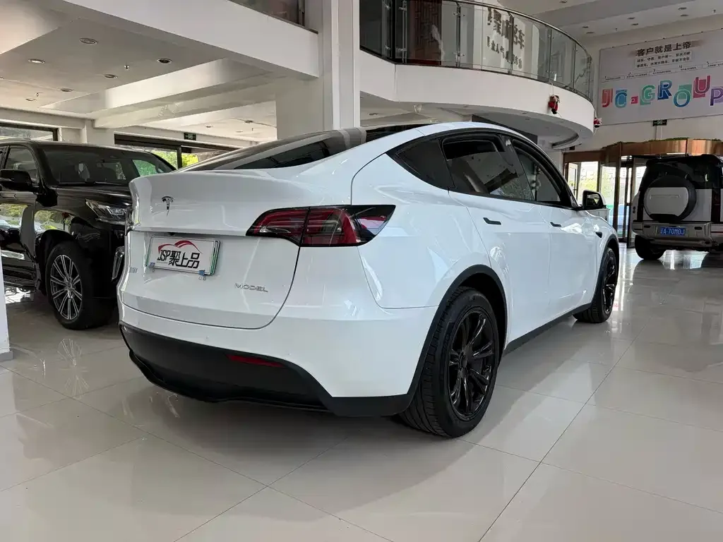 Tesla Model Y — фото 3