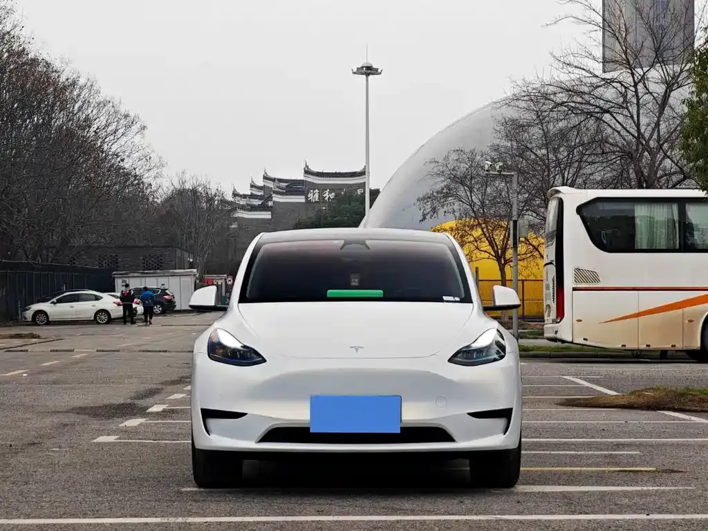 Tesla Model Y — фото 5