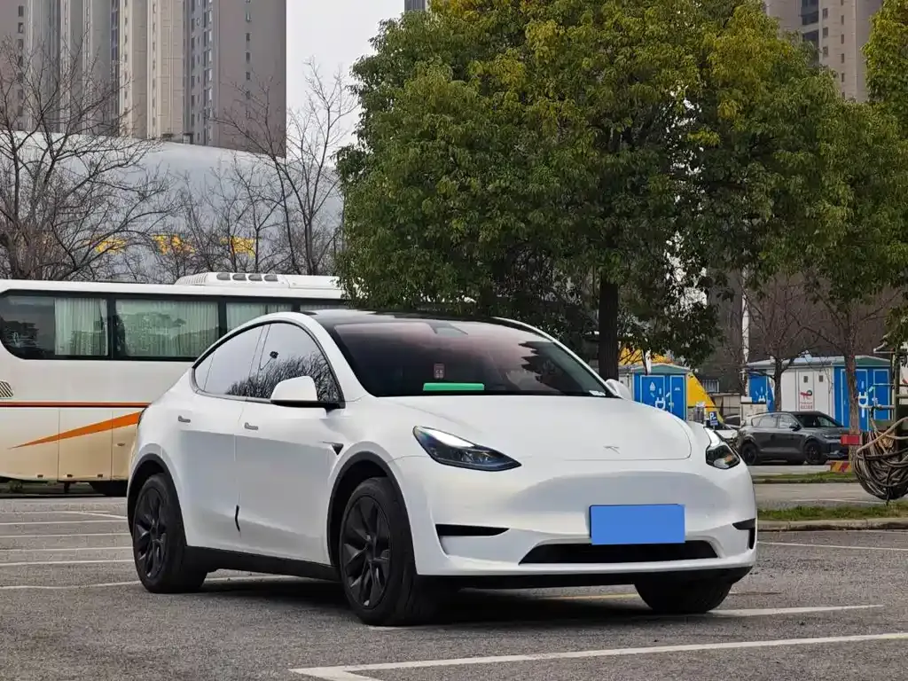 Tesla Model Y — фото 2