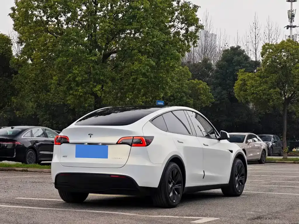 Tesla Model Y — фото 7