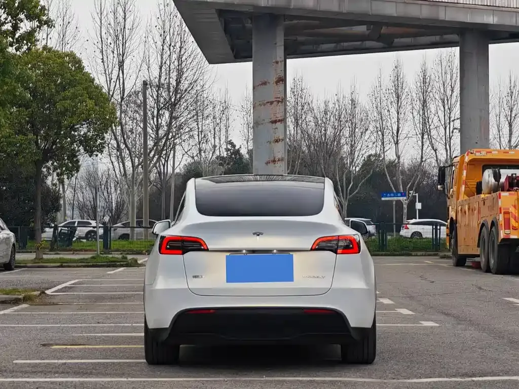 Tesla Model Y — фото 8
