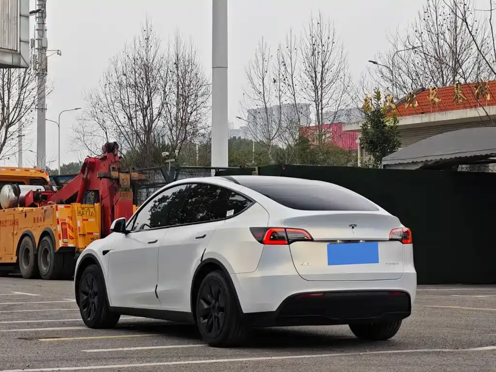 Tesla Model Y — фото 9