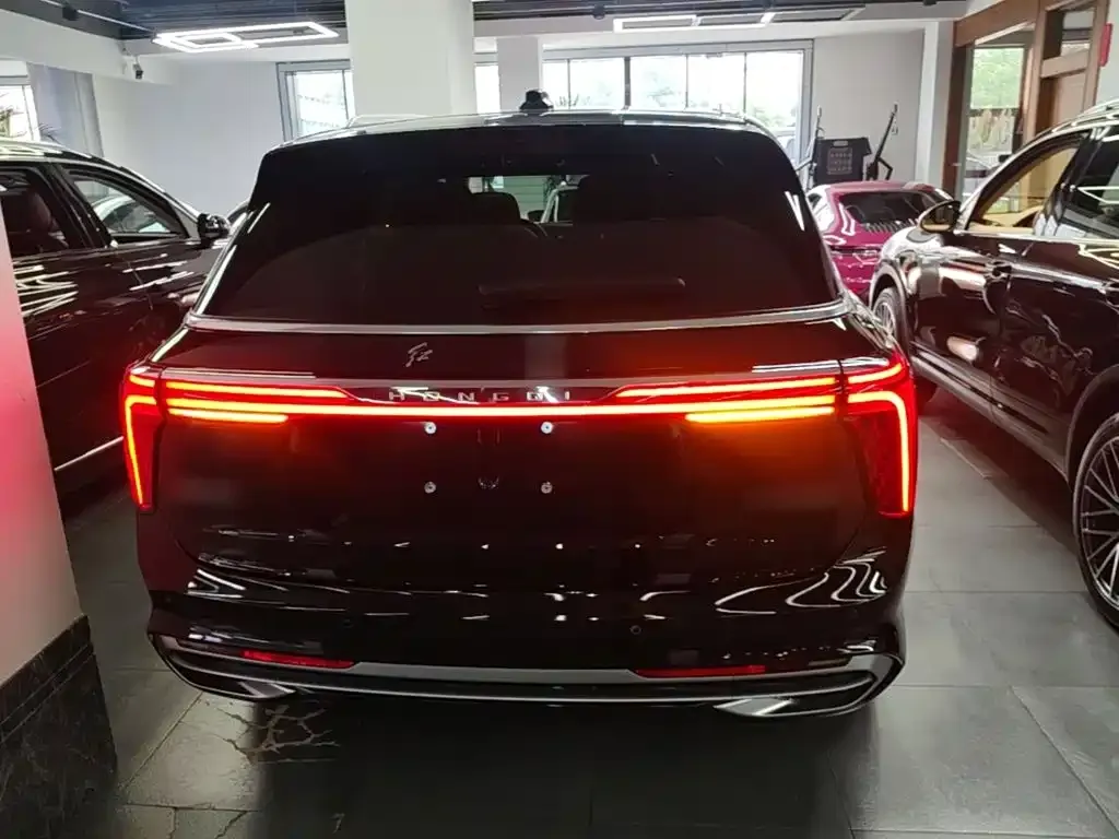 Hongqi E-HS9 — фото 10