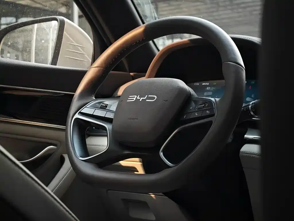 BYD PLUS New Energy — фото 4