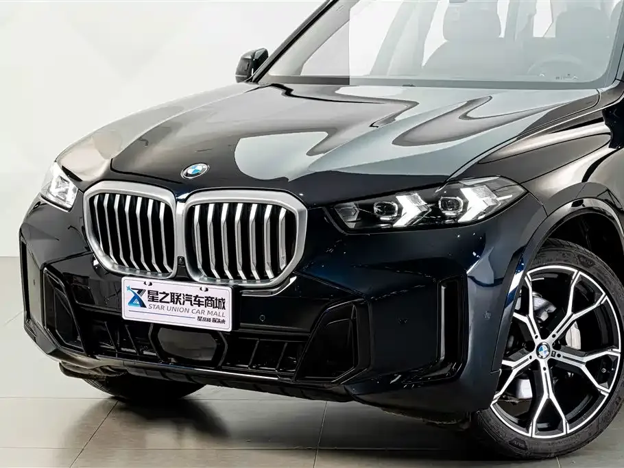 BMW X5 — фото 10