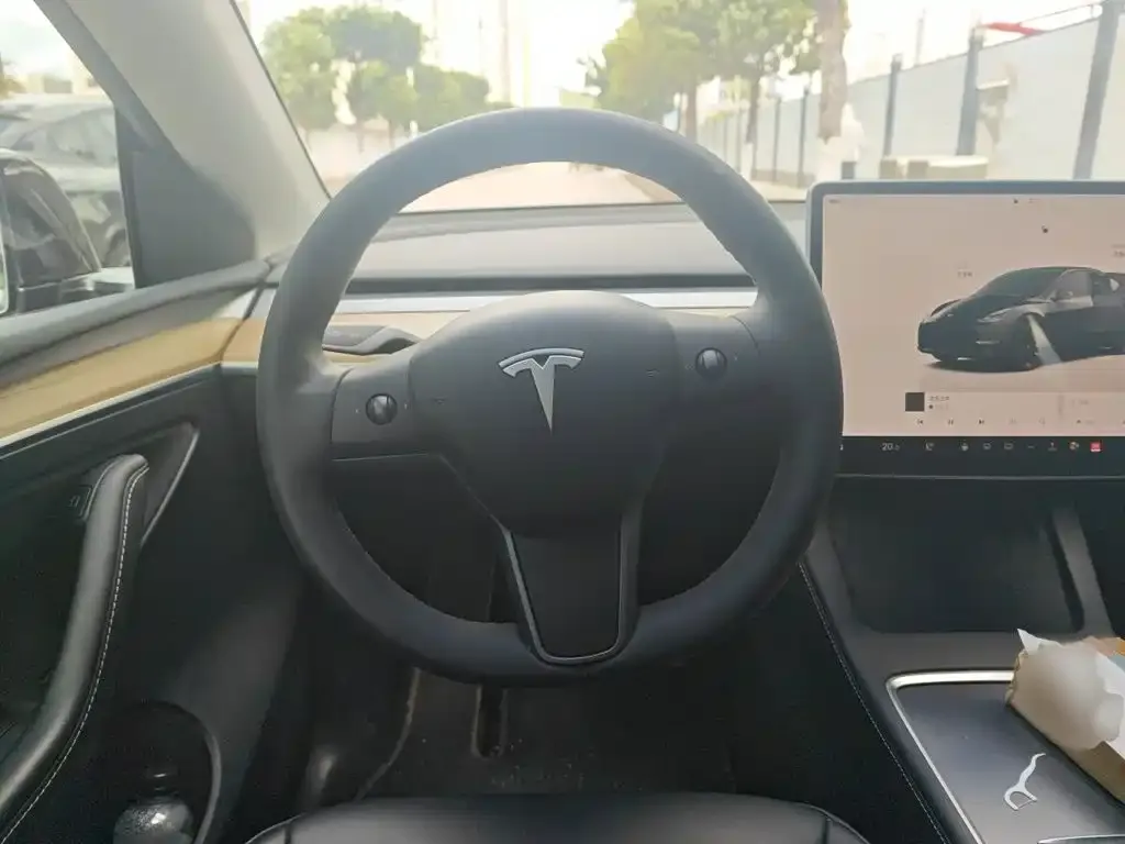 Tesla Model Y — фото 10