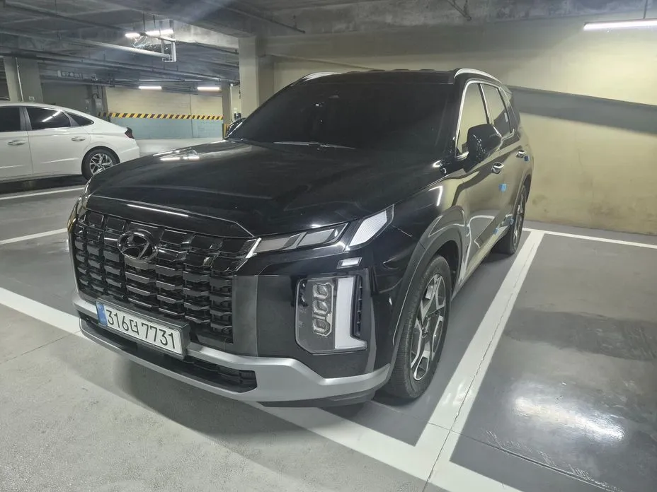 Hyundai Palisade — фото 9