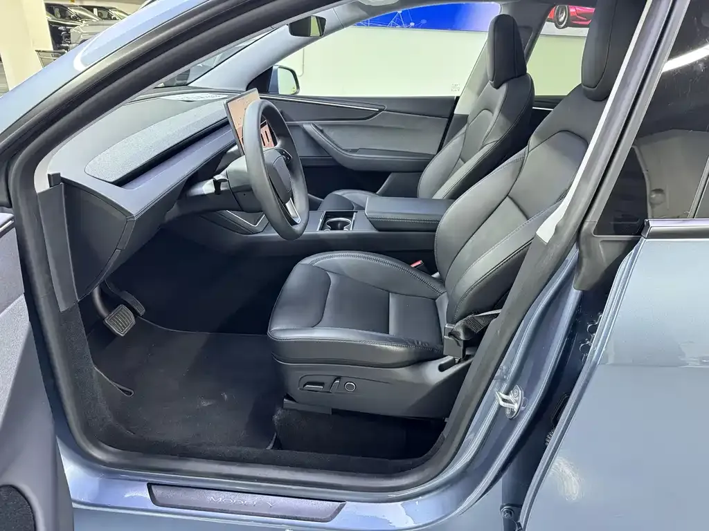 Tesla Model Y — фото 10