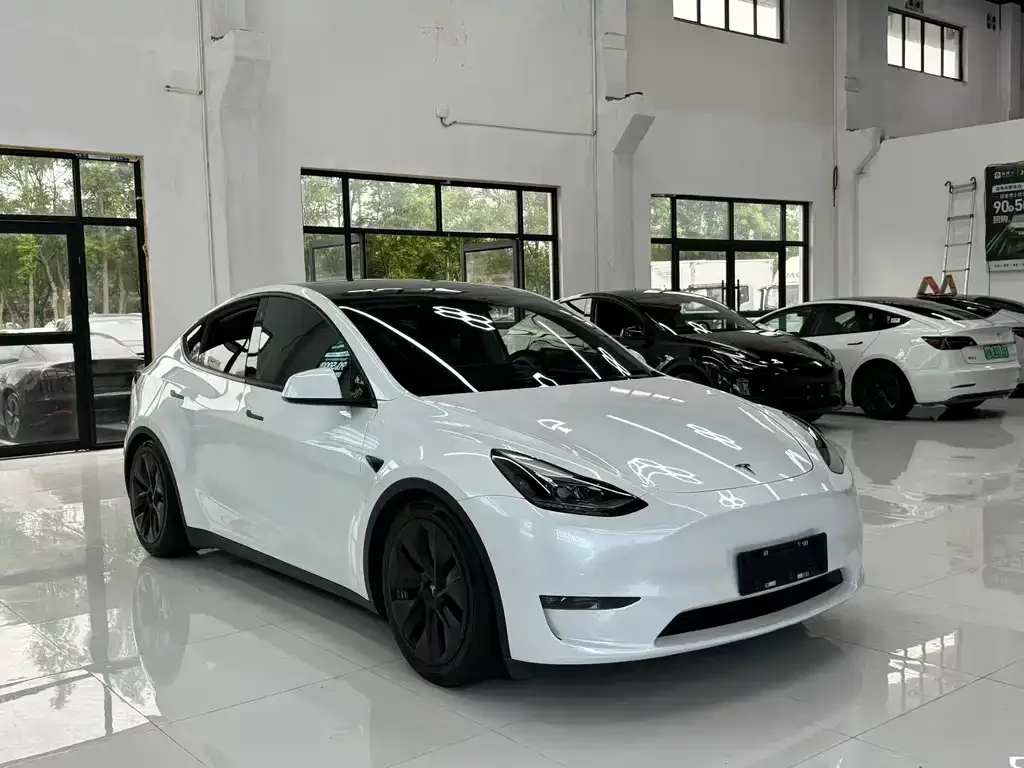 Tesla Model Y — фото 6