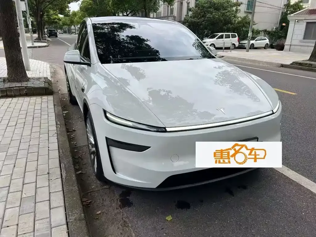 Tesla Model Y — фото 1