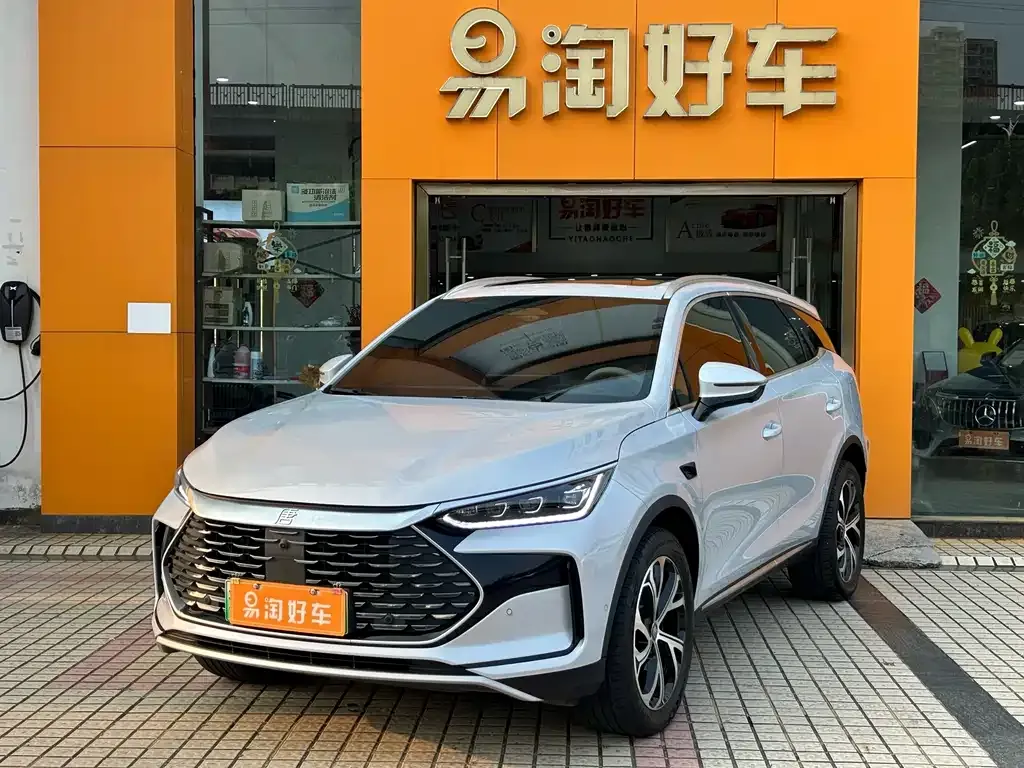 BYD Tang New Energy — фото 1