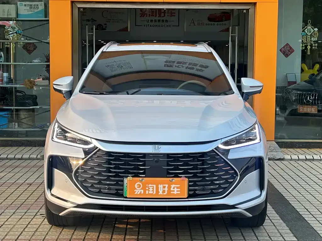 BYD Tang New Energy — фото 4