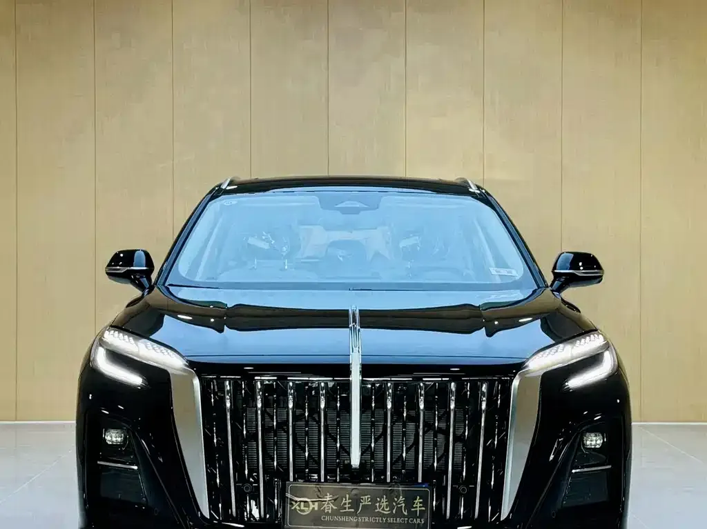Hongqi HS3 PHEV — фото 10