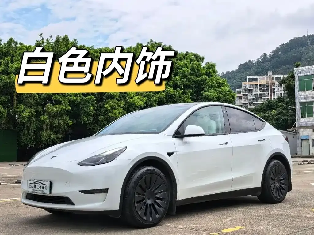 Tesla Model Y — фото 1