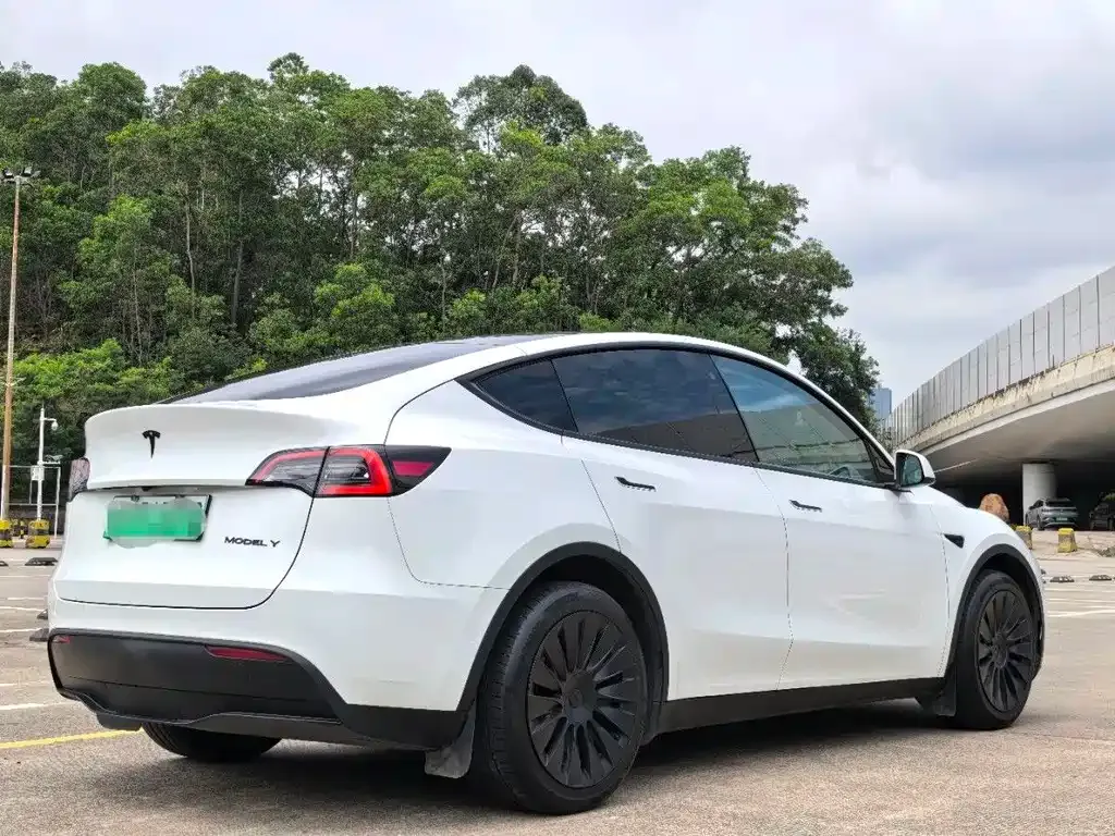 Tesla Model Y — фото 7