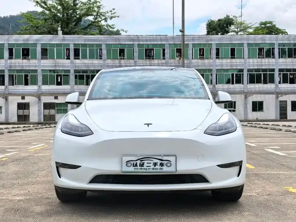Tesla Model Y — фото 6