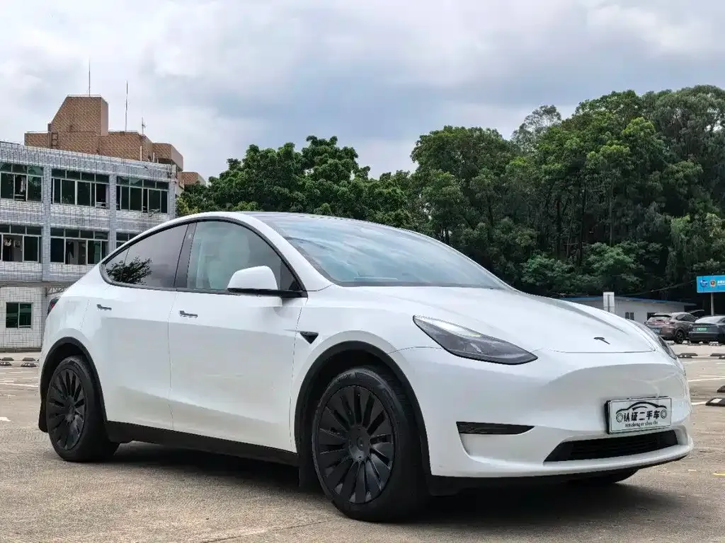 Tesla Model Y — фото 3