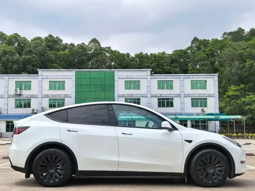 Tesla Model Y — фото 9
