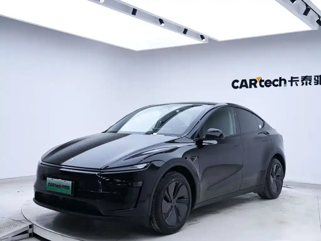 Tesla Model Y — фото 8