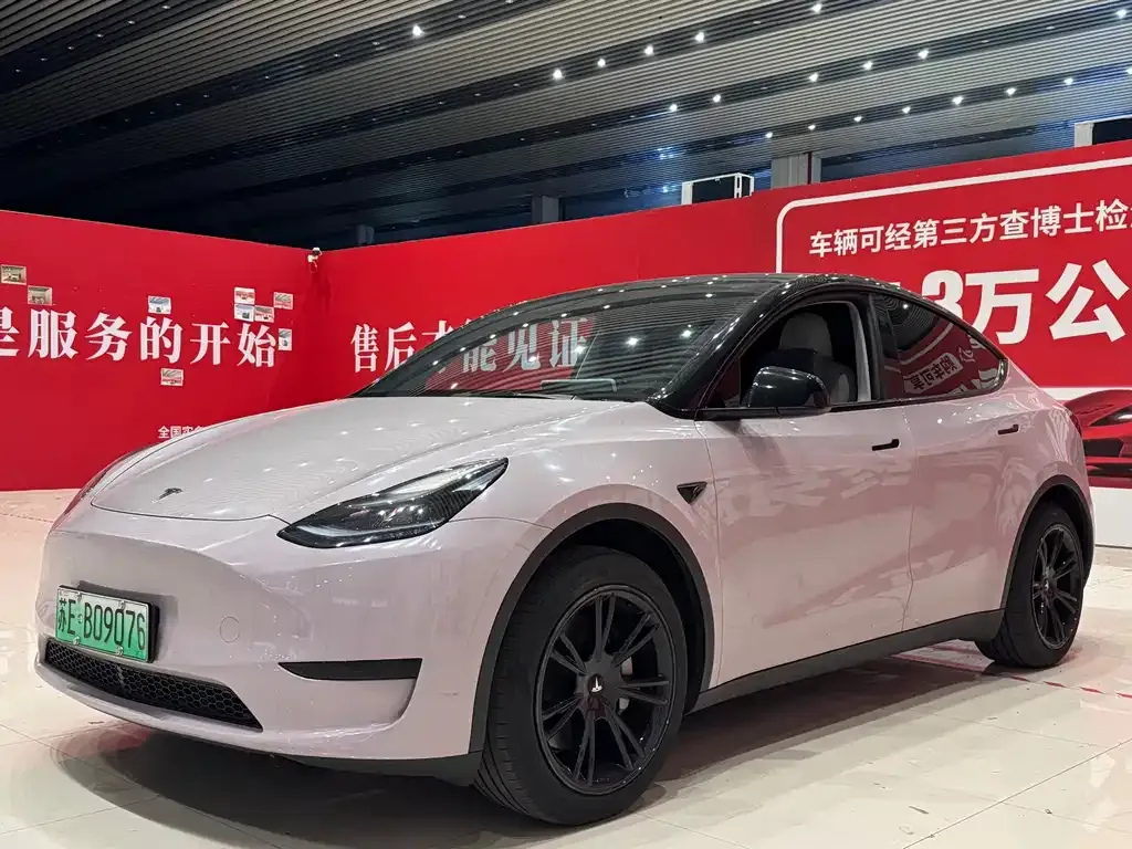 Tesla Model Y — фото 1