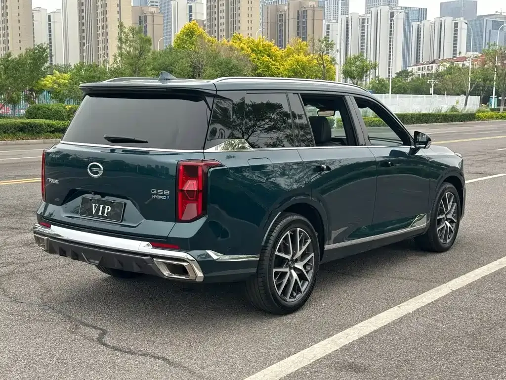 GAC Motor Trumpchi GS8 — фото 6